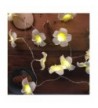 Trendy Indoor String Lights Clearance Sale