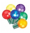 Philips LED Globe Lights Multi color