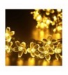 Solar String Lights 50Leds Blossom