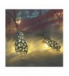 Indoor String Lights for Sale