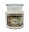 Premium 100 Soy Candle Apothecary