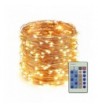 ErChen Dimmable Seasonal Decorative Christmas