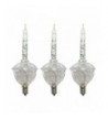Vickerman Glitter Bubble Replacement 5 watt