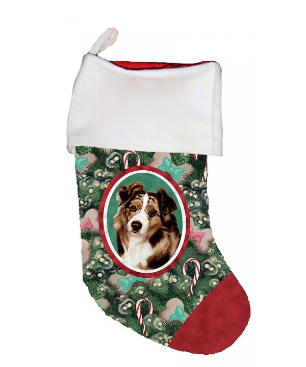 Australian Shepherd Red Merle Christmas