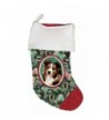 Australian Shepherd Red Merle Christmas