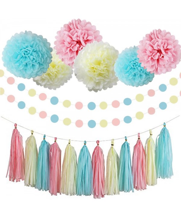 Gender Reveal Supplies Decorations Garland