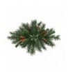 Vickerman Cheyenne Swag 32 Inch Green