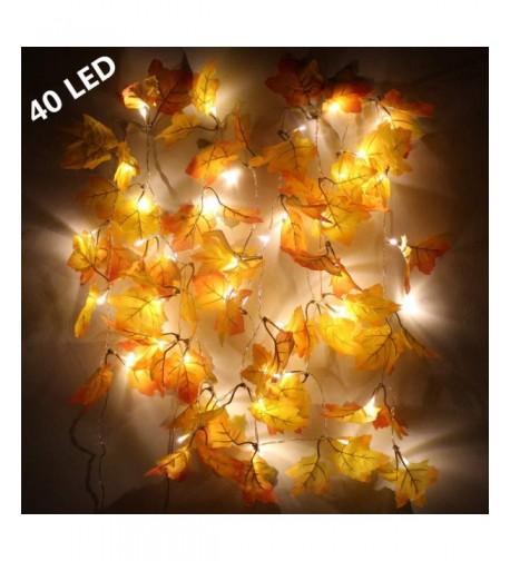 Hacosoon Thanksgiving Decorations Lighted Garland