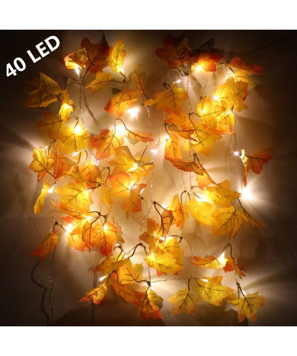 Hacosoon Thanksgiving Decorations Lighted Garland