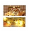 Indoor String Lights Wholesale