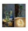 Seasonal Lighting Wholesale