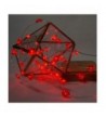 Most Popular Indoor String Lights for Sale