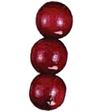 Most Popular Christmas Decorations