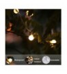 Designer Seasonal Lighting Online