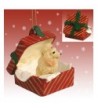 POODLE Apricot Christmas Ornament RGBD01C