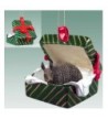 Armadillo Gift Box Christmas Ornament