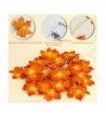 Indoor String Lights Online Sale