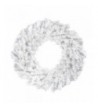 Northlight Canadian Artificial Christmas Wreath