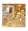 Indoor String Lights Wholesale