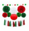 Tissue Paper Pom Poms Decorations