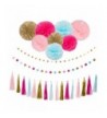 Party Decoration Hanging Tassels Garlands