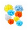 WYZworks Assorted Colorful Decorations Weddings