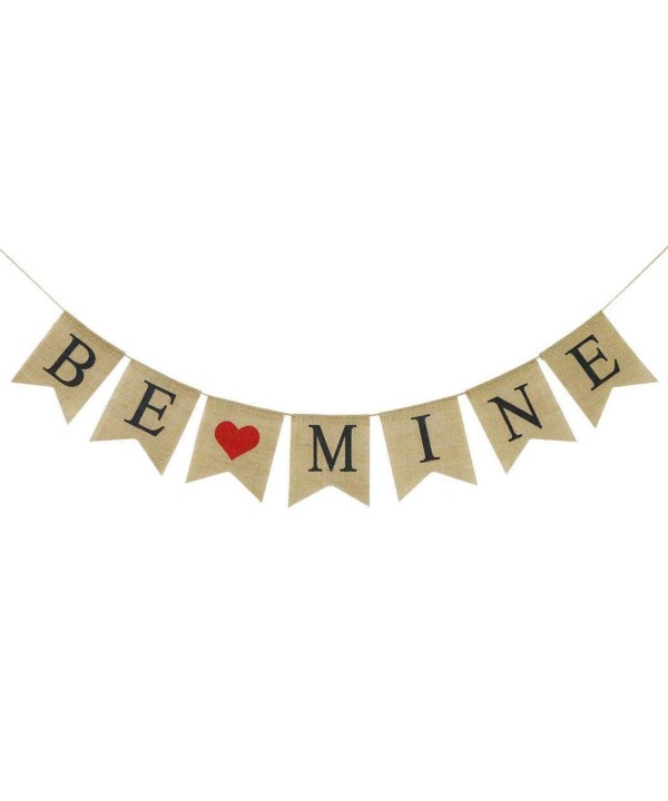 Faylapa Banner Garland Valentines Decorations