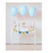 Designer Children's Baby Shower Party Supplies Wholesale