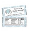 Personalized Elephant Shower Wrappers Favors