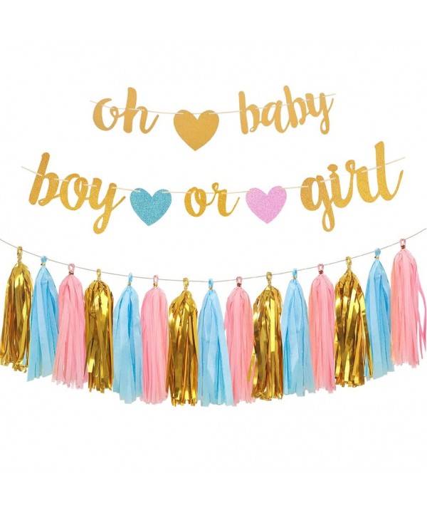 Gender Reveal Party Decorations Glitter