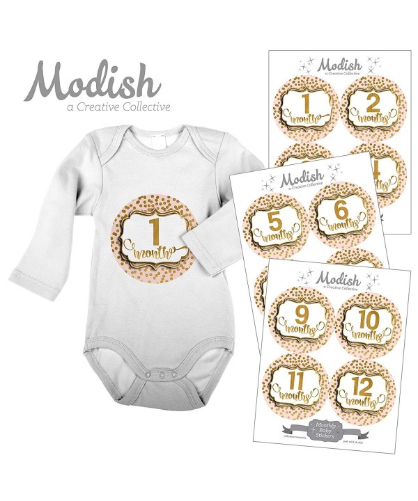 Monthly Stickers Blush Keepsake Shower