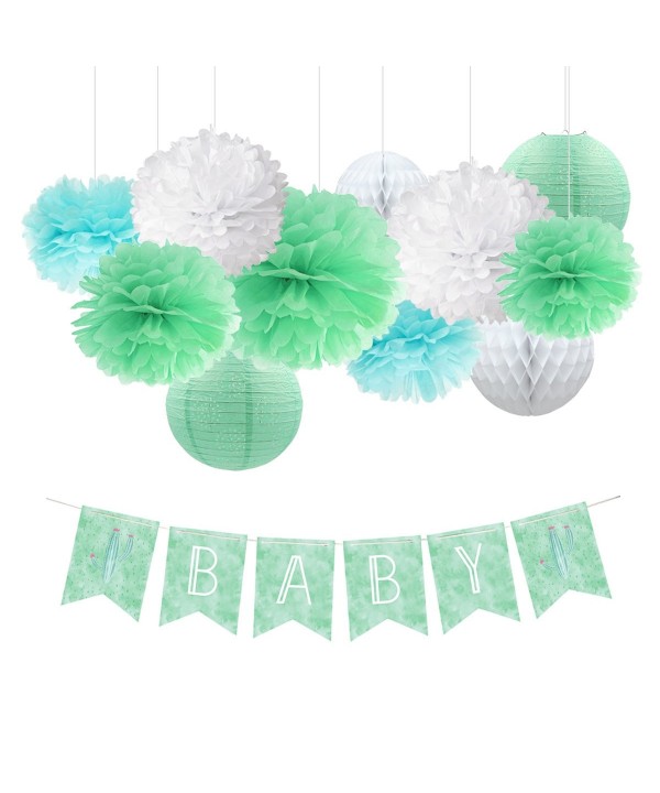 Cactus Baby Shower Decoration Mint Green Tissue Pom Poms Eyelet